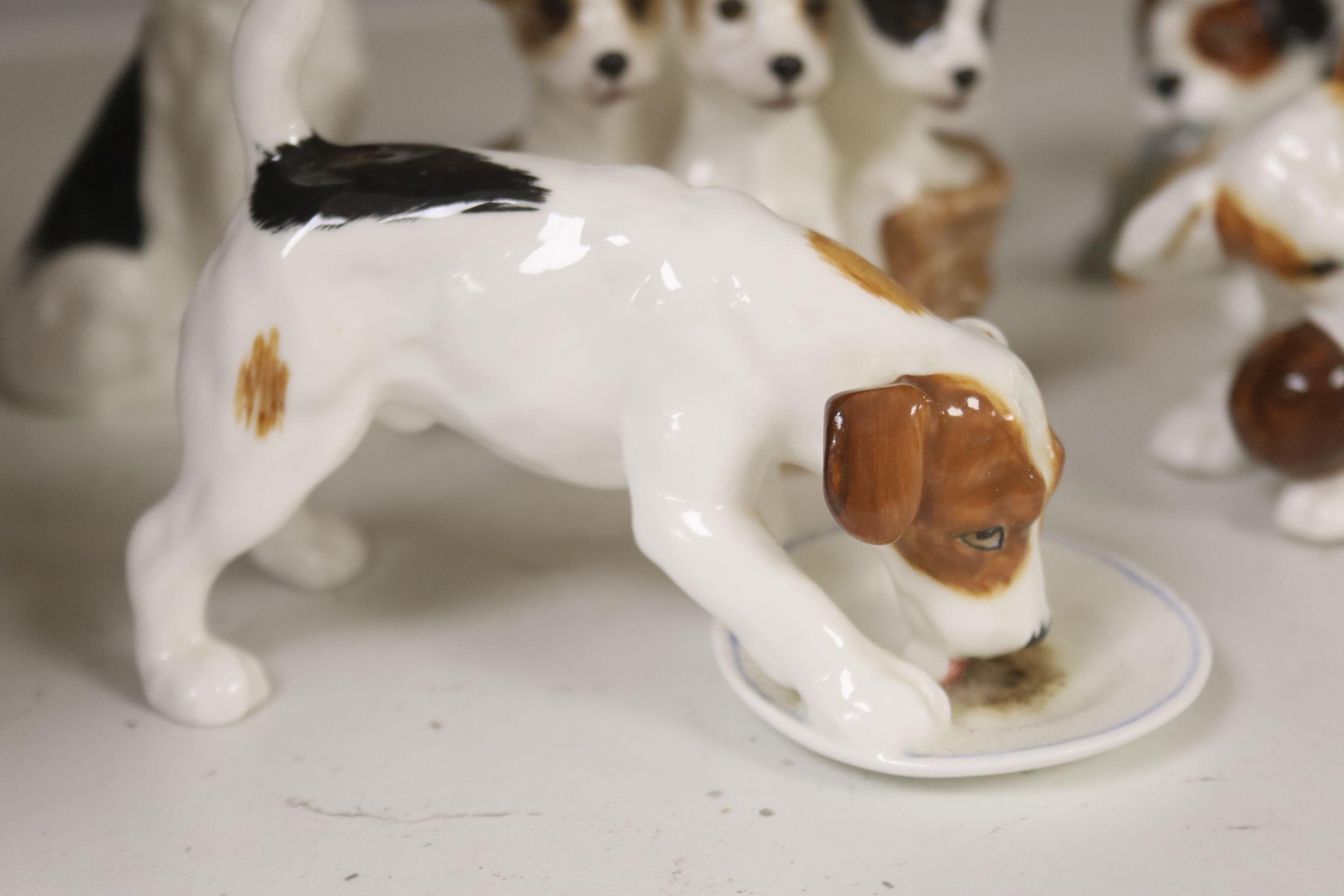 Seven Royal Doulton models of terrier puppies
